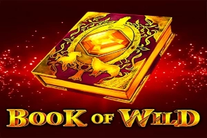 Book of Wild Slot
