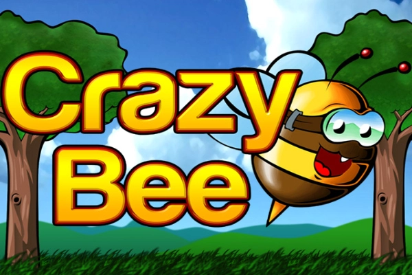 Crazy Bee Slot