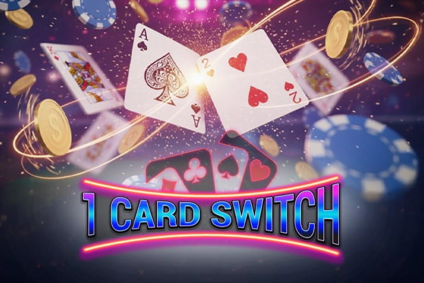 1 Card Switch Slot