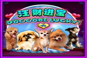 Doggone Lucky! Slot