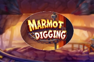 Marmot Digging Slot