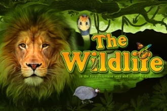 The Wildlife Slot