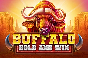Buffalo Hold and Win Slot