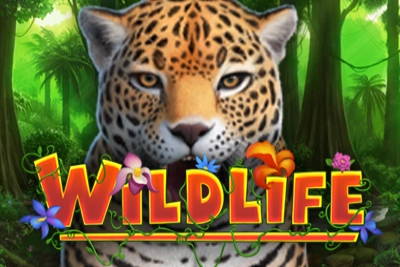 Wildlife Slot