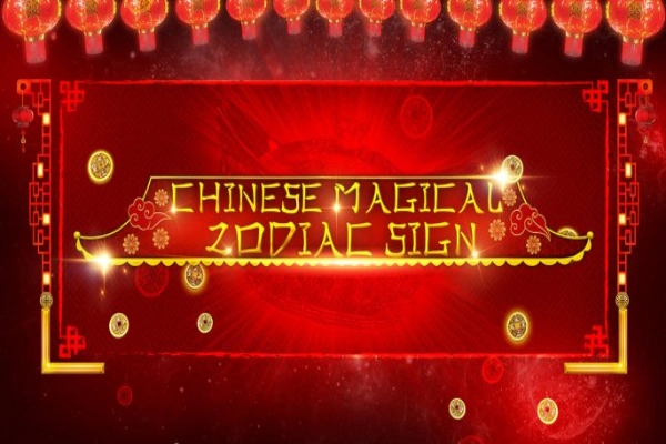 Chinese Magical Zodiac Sign Slot