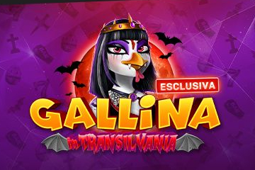 Gallina in Transilvania Slot