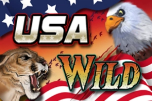 USA Wild Slot