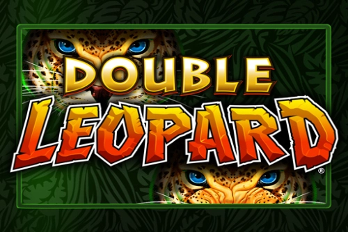 Double Leopard Slot