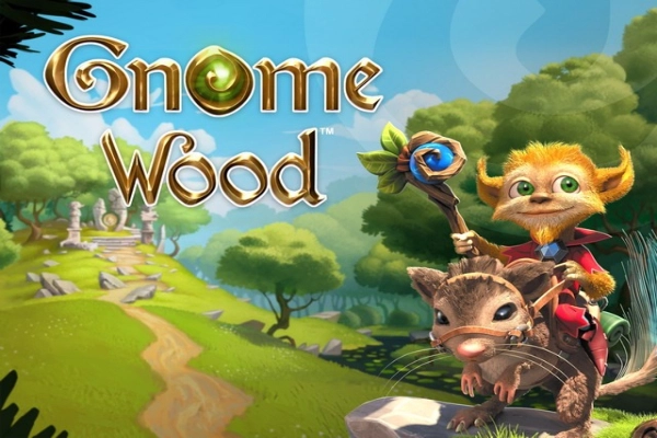 Gnome Wood Slot