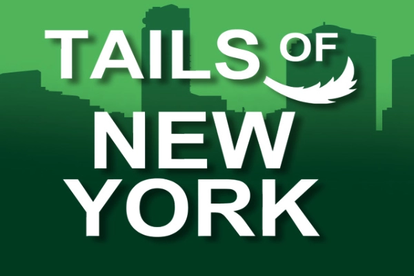 Tails Of New York Slot