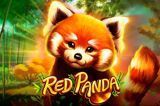 Red Panda Slot