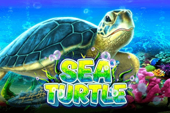 Sea Turtle Slot