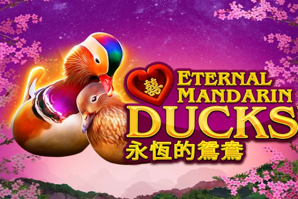 Power Prizes - Eternal Mandarin Ducks Slot