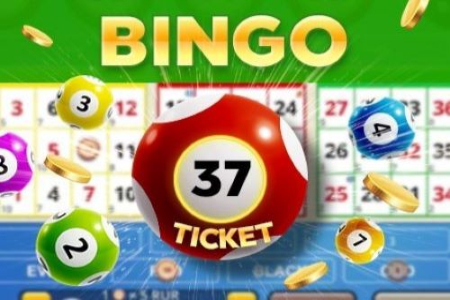 Bingo 37 Ticket Slot