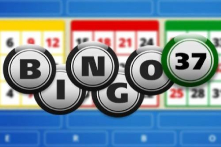 Bingo 37 Slot