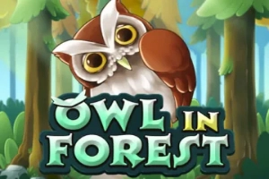 Owl in Forest Slot