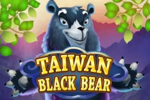 Taiwan Black Bear Slot