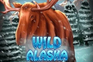 Wild Alaska Slot