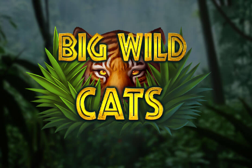 Big Wild Cats Slot