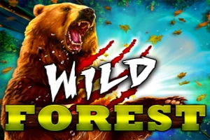 Wild Forest Slot