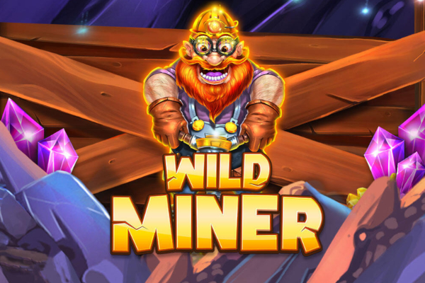 Wild Miner Slot