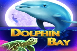 Dolphin Bay Slot