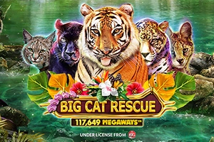 Big Cat Rescue Megaways Slot