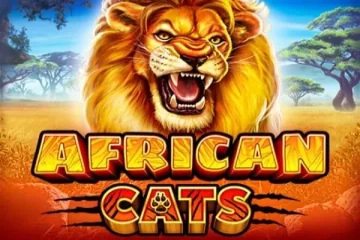 African Cats Slot