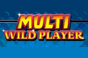 Multi Wild Player Slot