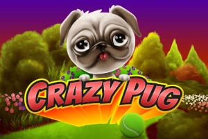 Crazy Pug Slot