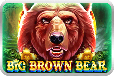 Big Brown Bear Slot