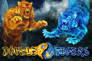 Double Tigers Slot