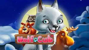50 bonus spins on Wolf Cub from PlayFrank