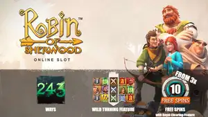 Play Robin of Sherwood WIN 100