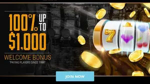 Tiger Gaming Casino Welcome Bonus 100% up to $1000