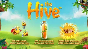 25 Free Spins in the Hive Slot on Box24 Casino