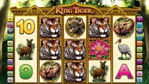 50 Free Spins on King Tiger at Miami Club Casino