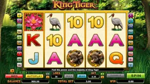40 Free Spins on King Tiger at Miami Club Casino