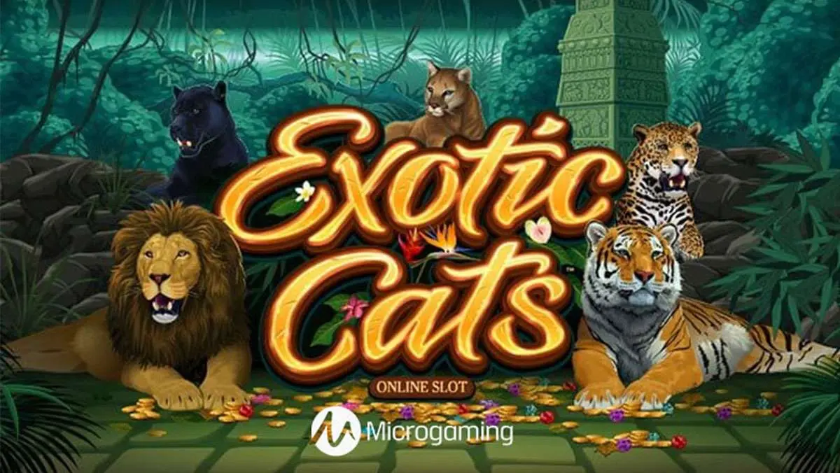 Play Exotic Cats Slot and WIN 100