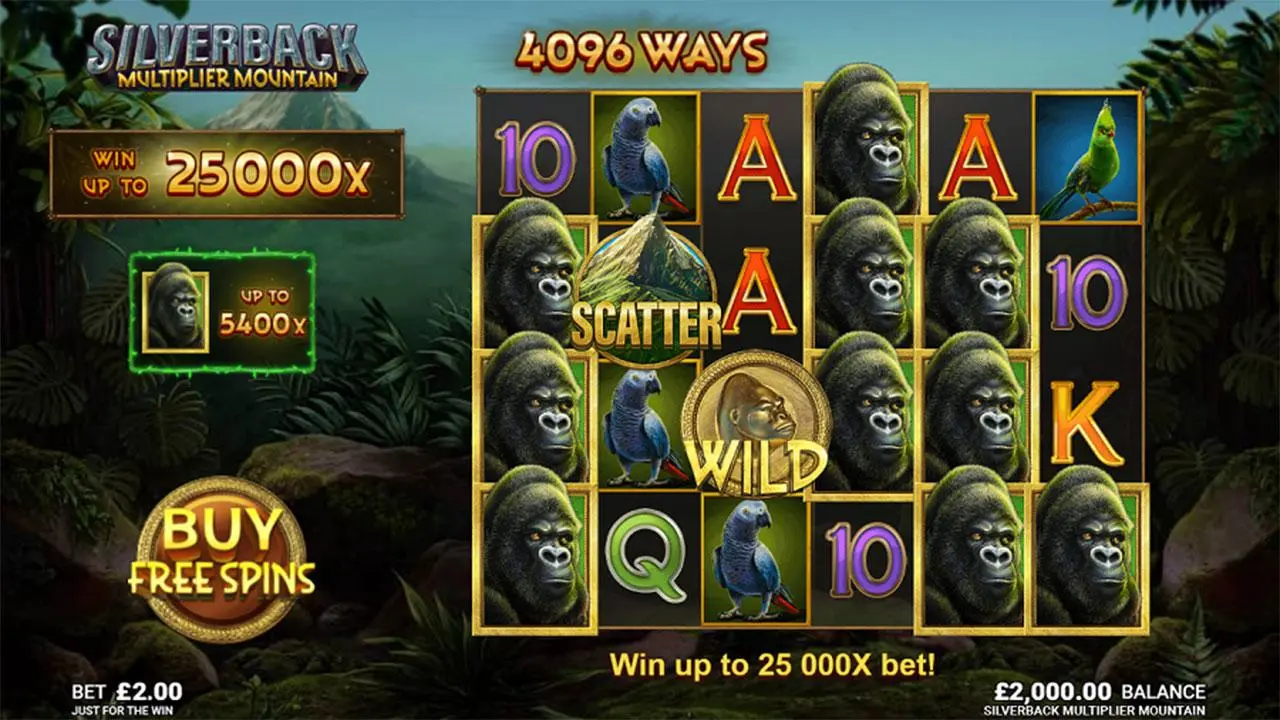 Play Silverback and Multiplier Mountain: WIN 100
