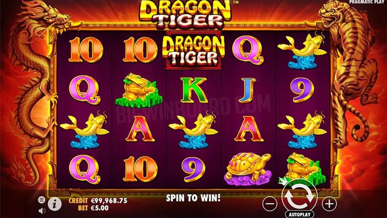 Play Dragon Tiger and WIN 100