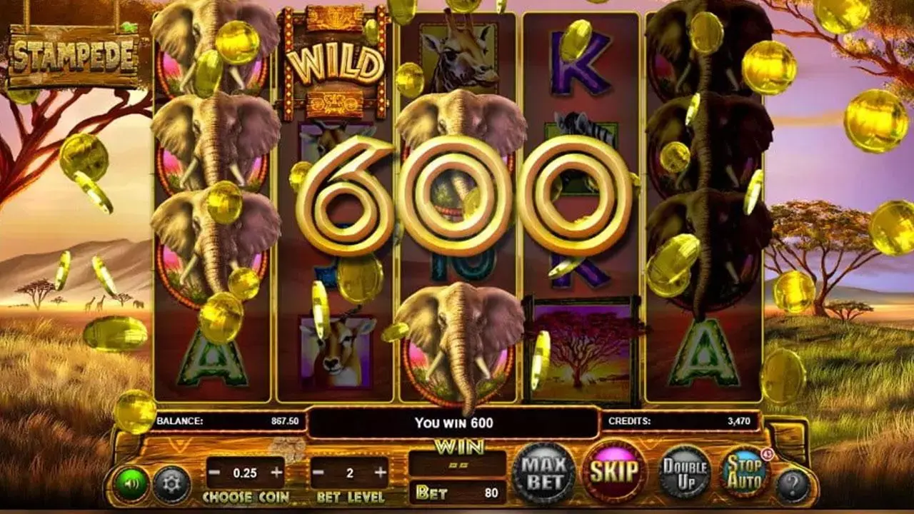 10 Free Chip on Safari Stampede at Miami Club Casino