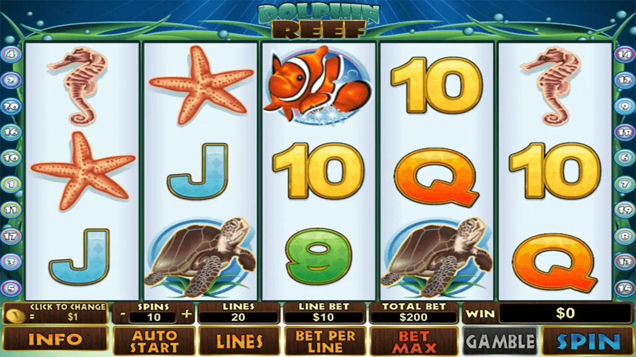 40 Free Spins on Dolphin Reef