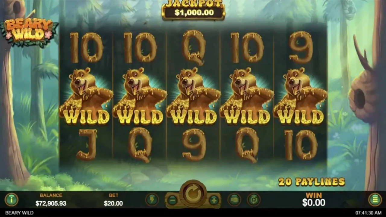 60 Free Spins on Beary Wild at Ozwin Casino