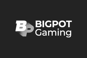 Bigpot Gaming icon