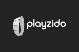 Playzido icon