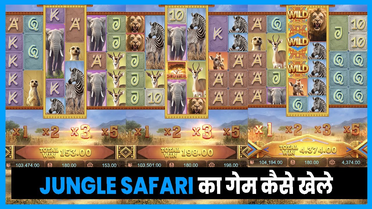 jungle safari pg slot || jungle safari maxwin || pg soft slots big win || pocket games | pocket game Video