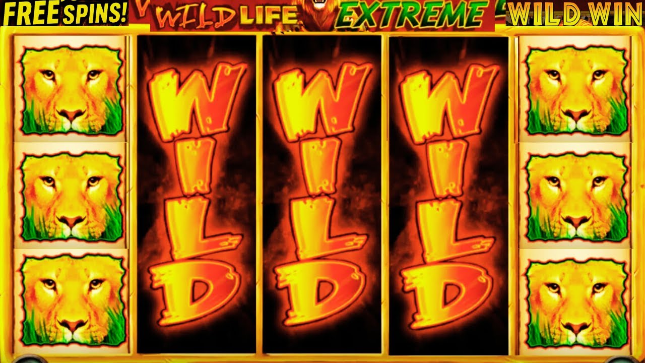 BIG WIN SLOT WILD LIFE EXTREME INSANE BONUS & FREE SPINS EXPLOSION! Video