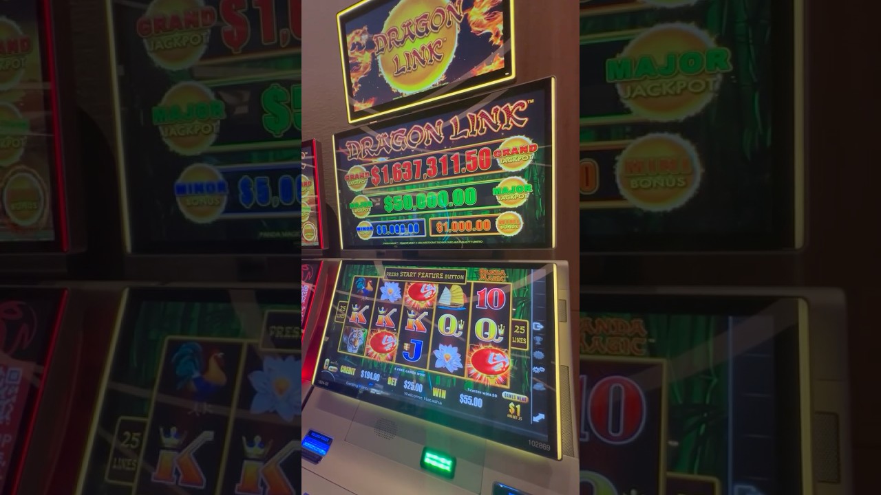 Tigers & Pandas Deliver BIG WIN! slots casino gambling Video