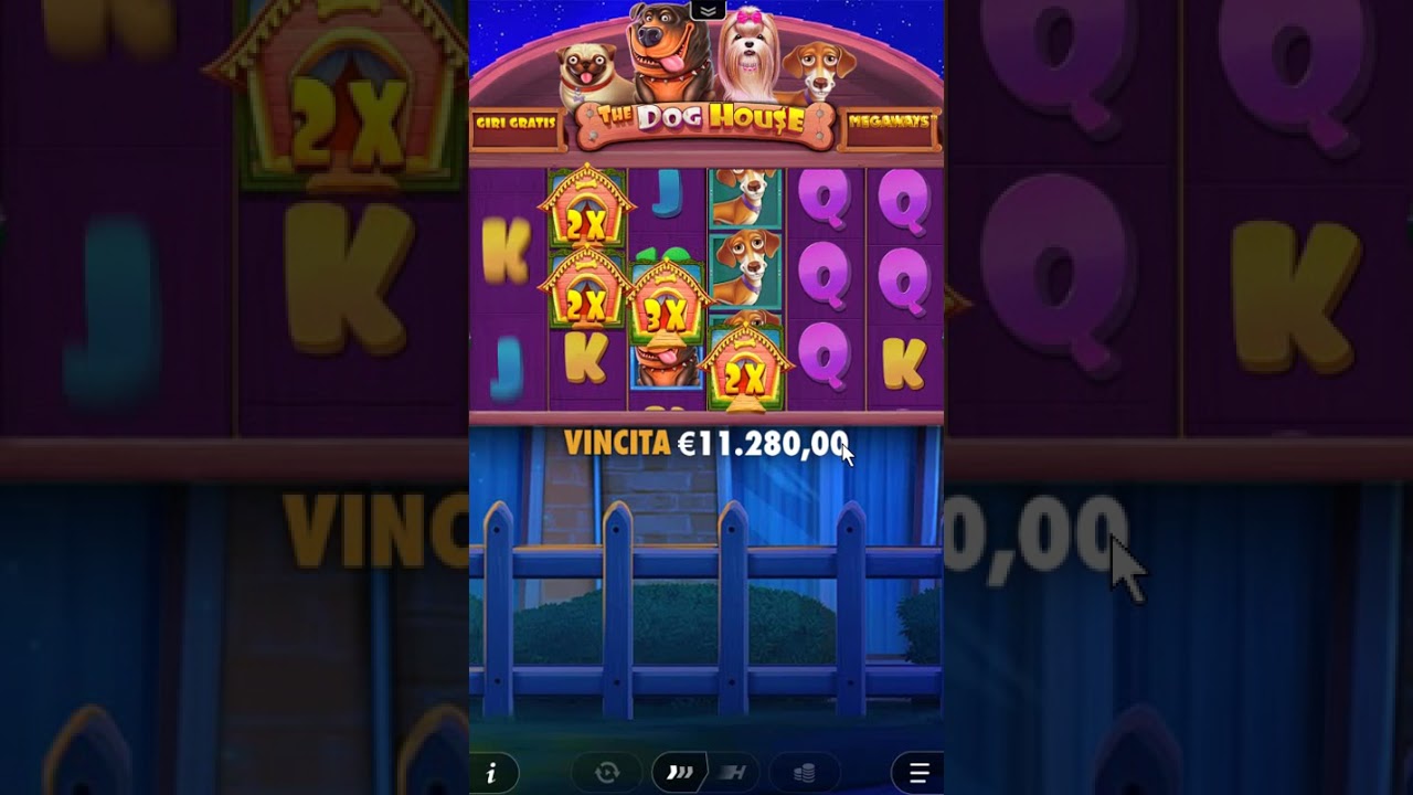 The Dog House Megaways Crazy Multipliers & Big Win Slot Gameplay Video